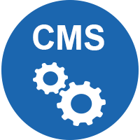 custom cms